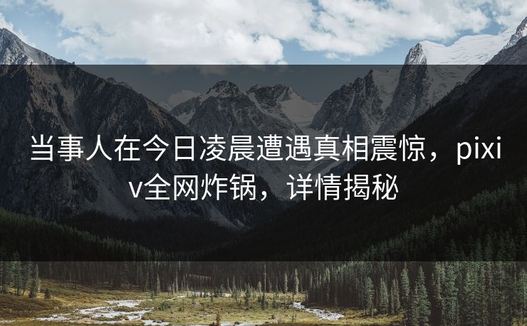 当事人在今日凌晨遭遇真相震惊，pixiv全网炸锅，详情揭秘
