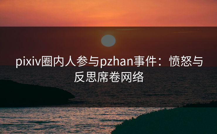 pixiv圈内人参与pzhan事件：愤怒与反思席卷网络