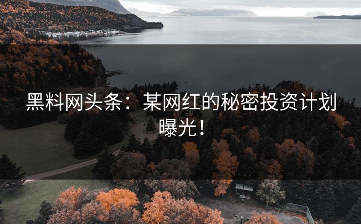 黑料网头条：某网红的秘密投资计划曝光！