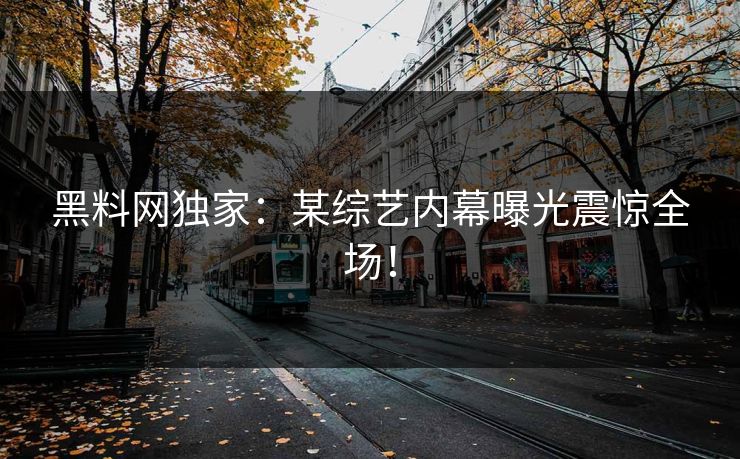 黑料网独家：某综艺内幕曝光震惊全场！