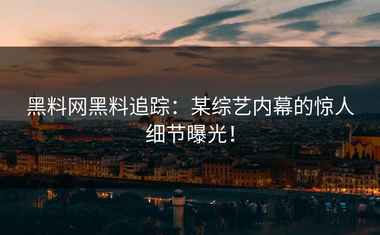黑料网黑料追踪：某综艺内幕的惊人细节曝光！