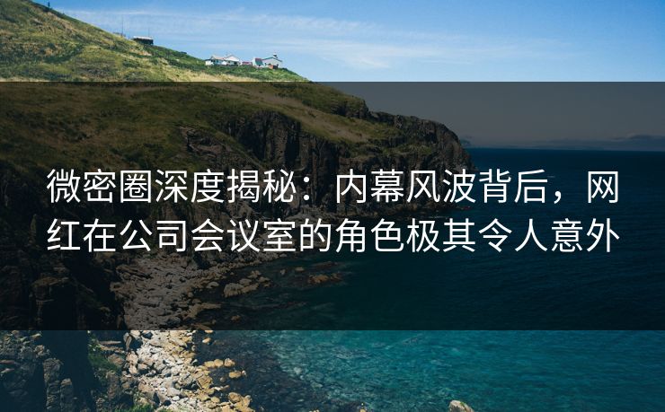 微密圈深度揭秘：内幕风波背后，网红在公司会议室的角色极其令人意外