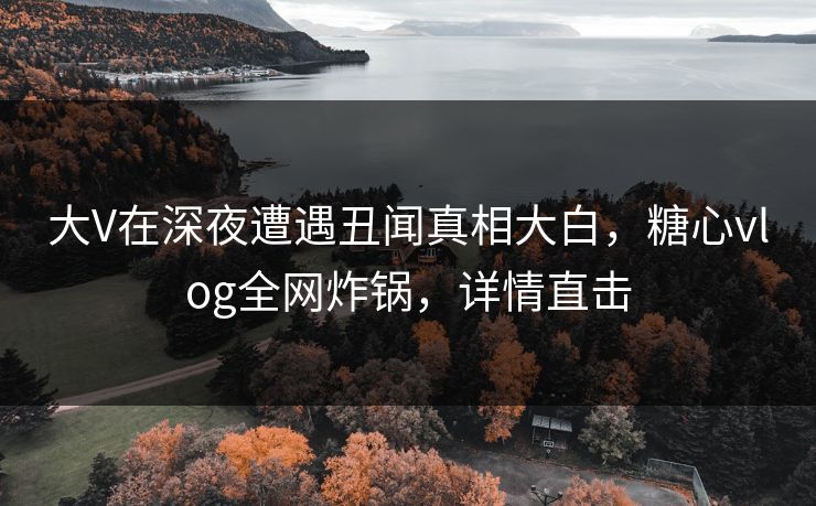 大V在深夜遭遇丑闻真相大白，糖心vlog全网炸锅，详情直击