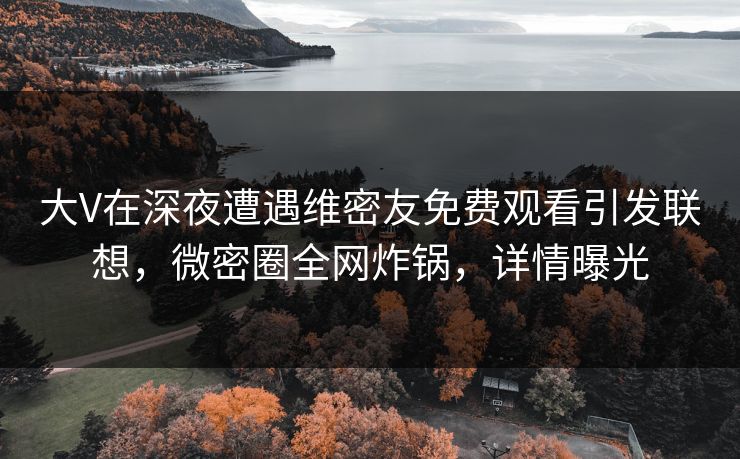 大V在深夜遭遇维密友免费观看引发联想，微密圈全网炸锅，详情曝光