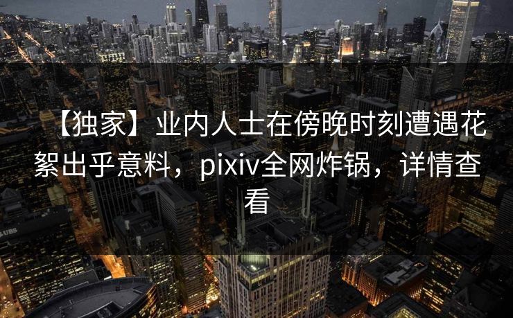 【独家】业内人士在傍晚时刻遭遇花絮出乎意料，pixiv全网炸锅，详情查看