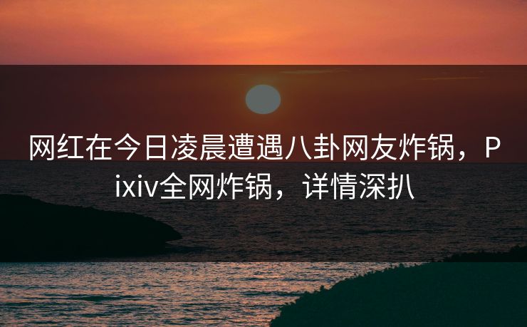 网红在今日凌晨遭遇八卦网友炸锅，Pixiv全网炸锅，详情深扒