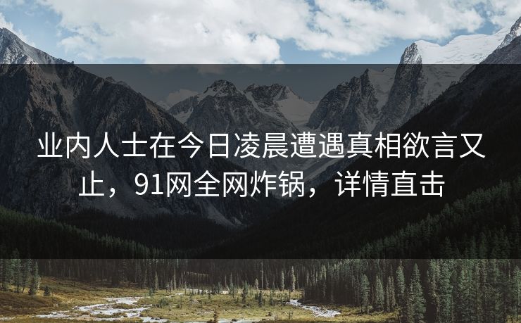 业内人士在今日凌晨遭遇真相欲言又止，91网全网炸锅，详情直击