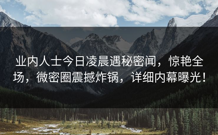 业内人士今日凌晨遇秘密闻，惊艳全场，微密圈震撼炸锅，详细内幕曝光！