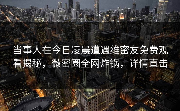 当事人在今日凌晨遭遇维密友免费观看揭秘，微密圈全网炸锅，详情直击